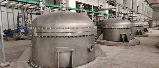 1100kg Candle Filter Purification 80mic 100mic Candle Filter Element