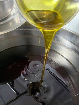 SYB Vertical Pressure Leaf Filter with 30 ㎡ Filtration Area for Edible Oil Cleaning
