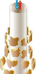 ZX Series Candle Filter | Edible Oil Purification | 5–50m³/h