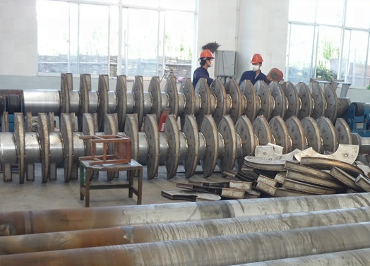 Conductive Paddle Dryer with Self-Cleaning Wedge Blades | Indirect Heating Sludge Drying Machine